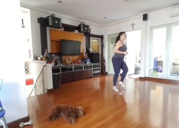 Crazy Little Thing Called Love