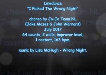 I Picked The Wrong Night