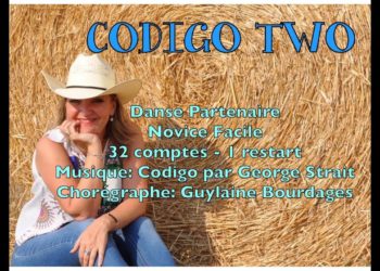 Codigo Two (Partner) (P)
