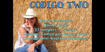 Codigo Two (Partner) (P)