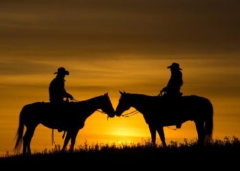 Coward Of The County