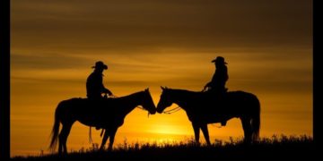 Coward Of The County