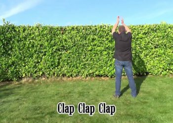 Hey Ho (Clap Clap Clap)