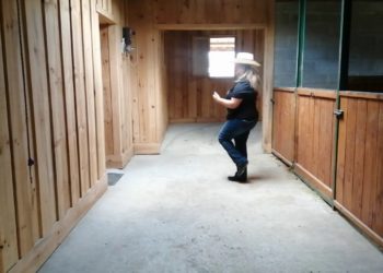 Diamonds In A Whiskey Glass