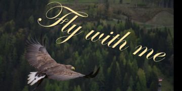 Fly With Me