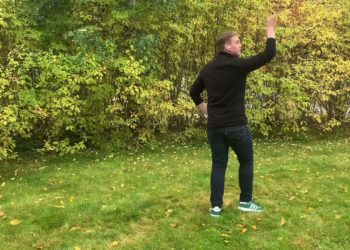 If The World Just Danced