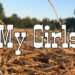 My Girls