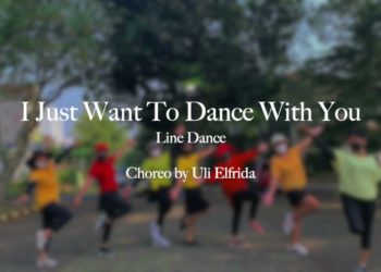 I Just Want To Dance With You