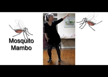 Mosquito Mambo