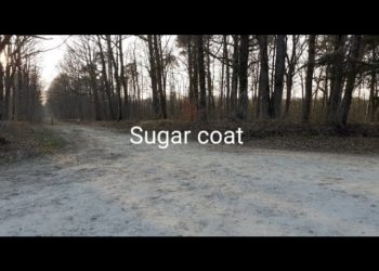 Sugar Coat