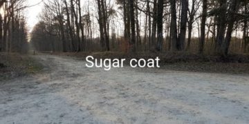 Sugar Coat