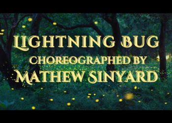 Lightning Bug