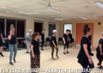 (AB) Fly Like A Bird