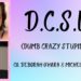 D.C.S.L (Dumb Crazy Stupid Love)