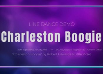 Charleston Boogie