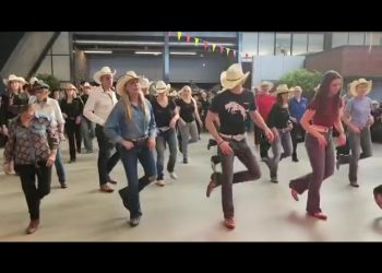 Wonder (Style Catalan)