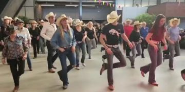 Wonder (Style Catalan)