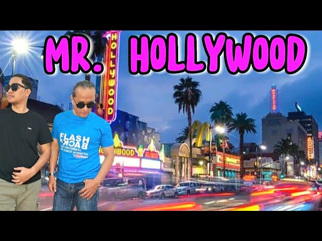 Mr. HollyWooD