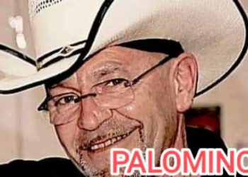 Palomino