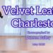 Velvet Leather Charleston