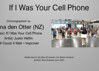 If I Was Your Cell Phone