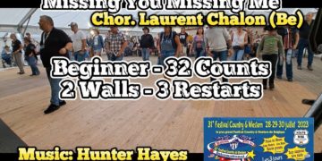 Missing You Missing Me