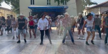 Little Mountain Cowboy