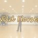 Wild Horses