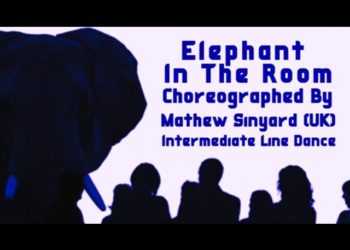 Elephant In The Room