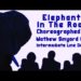 Elephant In The Room