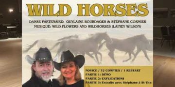 Wildflowers and Wild Horses (P)