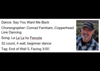 Say You Want Me Back