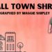 Small Town Shrank