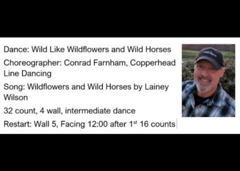 Wild Like Wildflowers and Wild Horses