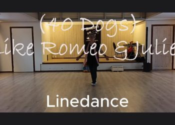 (40 Dogs) Like Romeo & Juliet