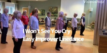 I Won&rsquo;t See You Cry