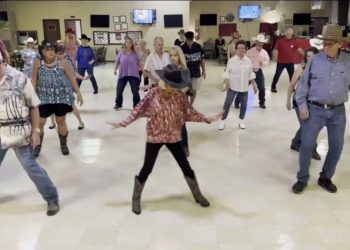 Bluebonnets and Mustangs