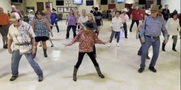 Bluebonnets and Mustangs