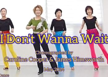 I Don’t Wanna Wait