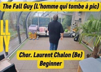 L’homme Qui Tombe à Pic (the Fall Guy)