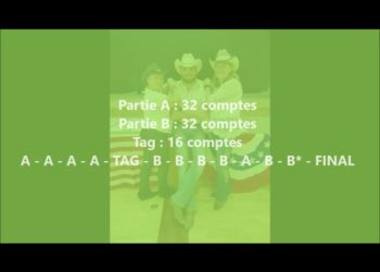 Wildflowers Wild Horses