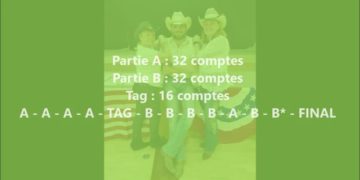 Wildflowers Wild Horses