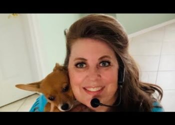 A Fiddle in the Band