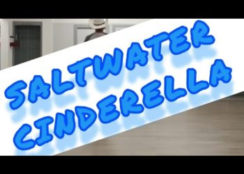 Saltwater Cinderella