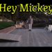 Hey Mickey