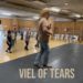Tears of the Veil
