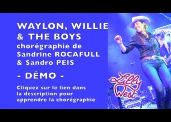 Waylon, Willie & the Boys