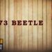 73 Beetle