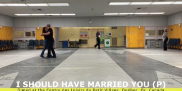 I Should Have Married You