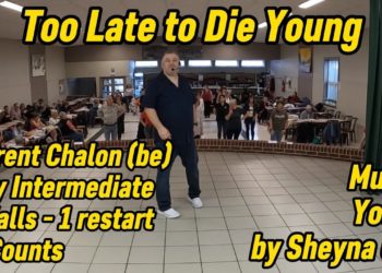 Too Late to Die Young